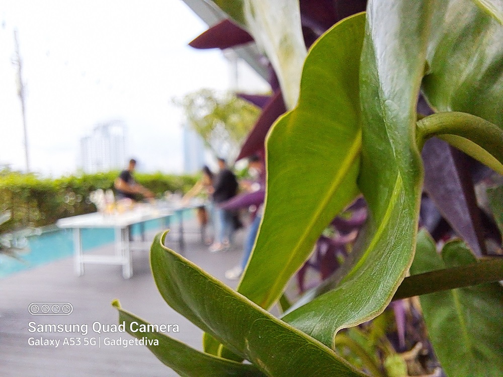 Jajal Kamera, Hasil Foto Samsung Galaxy A53 5G Oke Juga 7 Hasil Foto Galaxy A53 5G
