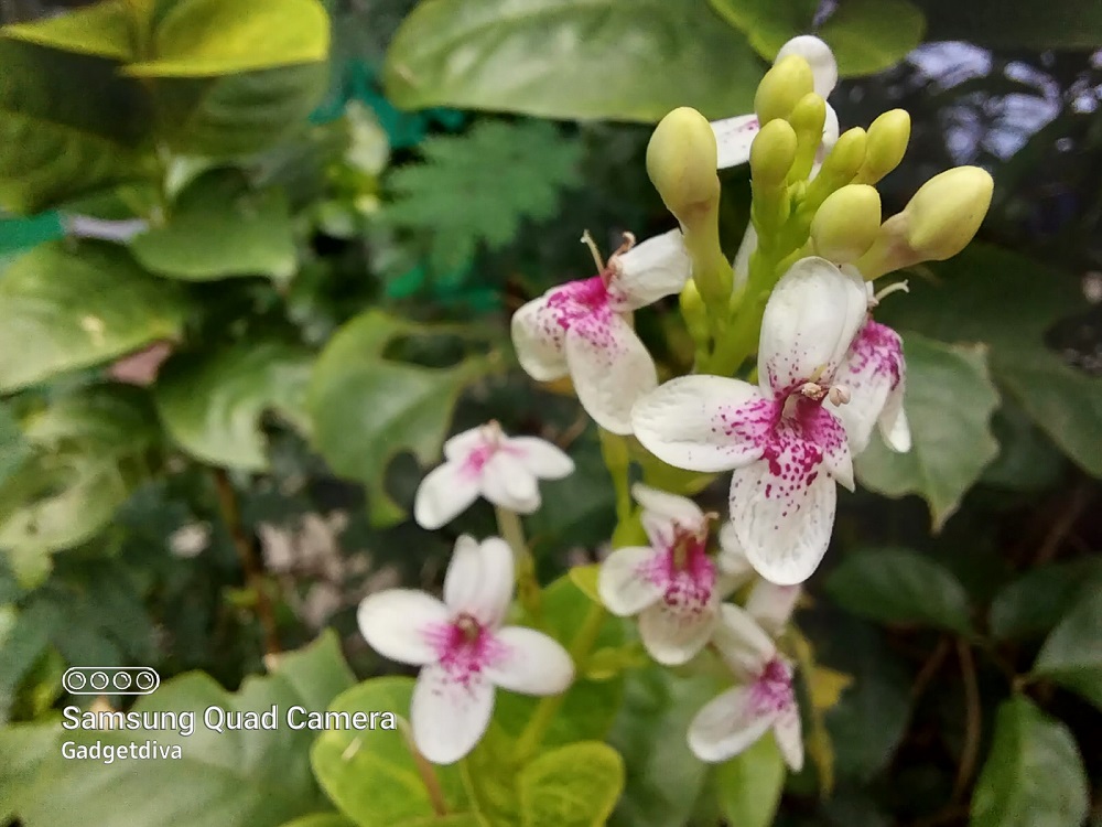 Review Samsung Galaxy A23: Desain Cerah, Memori Luas Dan Foto Portrait Ok 5 Review Samsung Galaxy A23