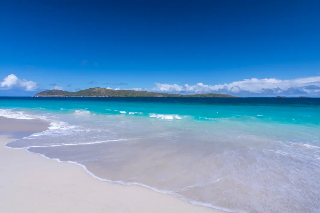 Wow! Mantan Bos Google Beli Pulau Seharga Rp. 501 Miliar 4 Bos Google