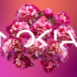 Setelah 60 Tahun, Akhirnya Nokia Punya Logo Baru 6 Nokia