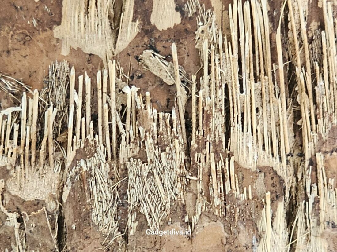 Intip Hasil Foto Pakai Kamera 200Mp Galaxy S23 Ultra 9 Kamera 200Mp Galaxy S23 Ultra