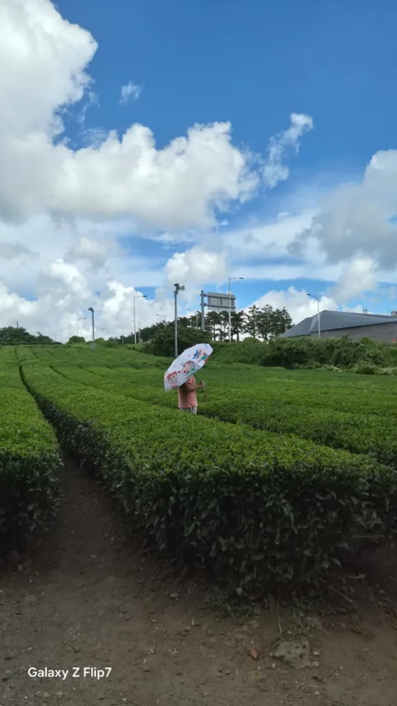 Tech Meets Travel: Galaxy Z Flip 7 Dan Google Gemini Jadi Partner Liburan Seru Di Pulau Jeju 15 Galaxy Z Flip 7