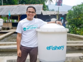 Tqjndv Efishery Phk Karyawan Imbas Restrukturisasi Perusahaan
