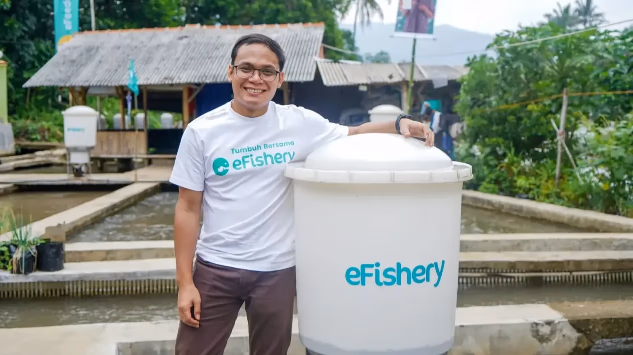Tqjndv Efishery Phk Karyawan Imbas Restrukturisasi Perusahaan