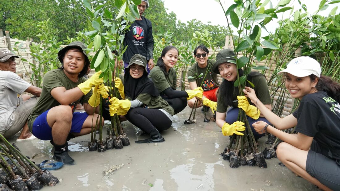 Peringati Hari Mangrove Sedunia