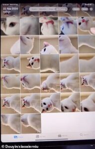 33578026 8768983 Er Niu Is Seen In The Photos Licking Its Paws And Even Using The M 66 1600962420988