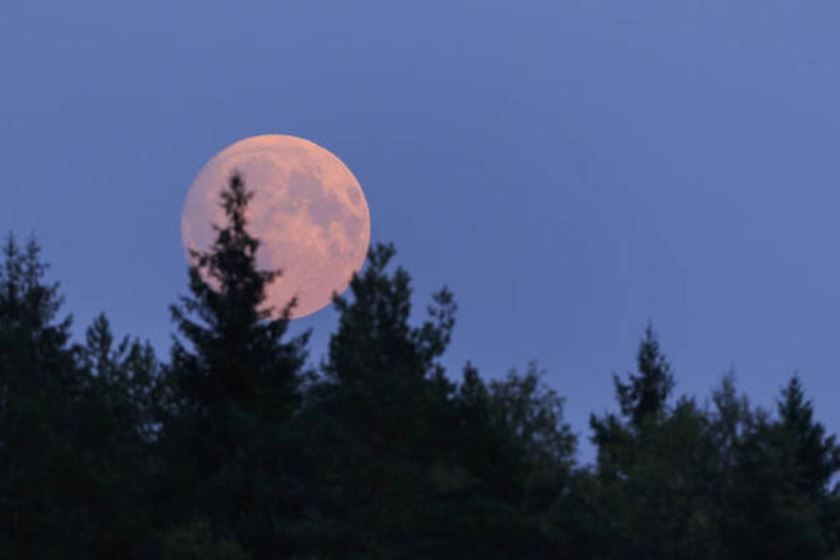 Supermoon Dan Fenomena Lainnya Hiasi Langit Bulan April