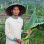Awantunai Gandeng Sayurbox Majukan Industri Pertanian