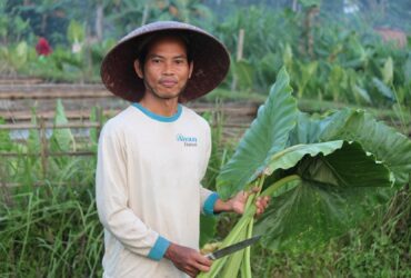 Awantunai Gandeng Sayurbox Majukan Industri Pertanian