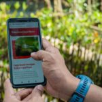 Telkomsel Jaga Bumi Tanam 15.060 Pohon Di Kawasan Hutan Mangrove Indonesia