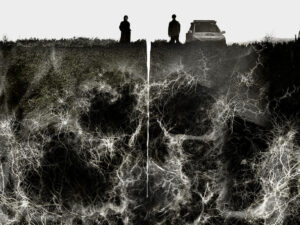 Dark Hole 4X3 1