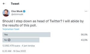 Elon Musk 2