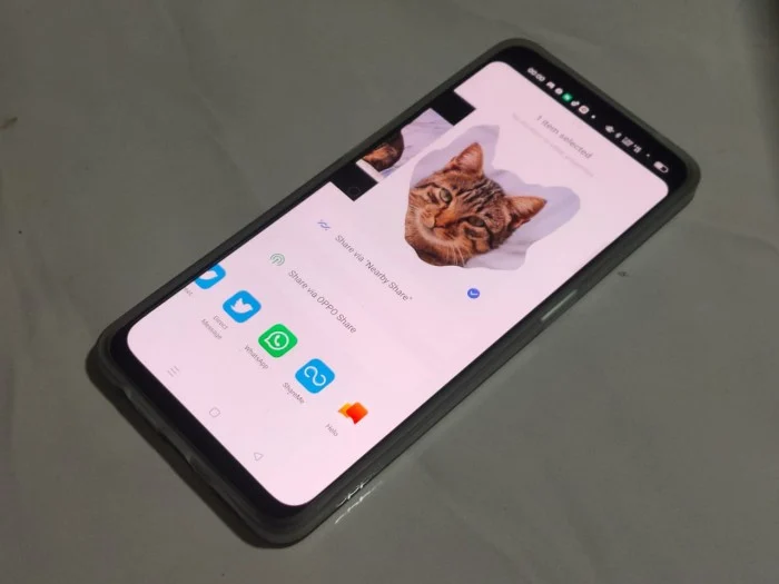 Freeform Screenshot