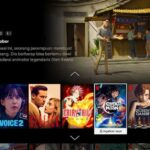 Opsi Baru Di Netflix
