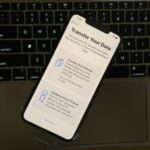 Sekarang Kamu Bisa Transfer Data Ke Iphone Baru Lewat Aplikasi Signal