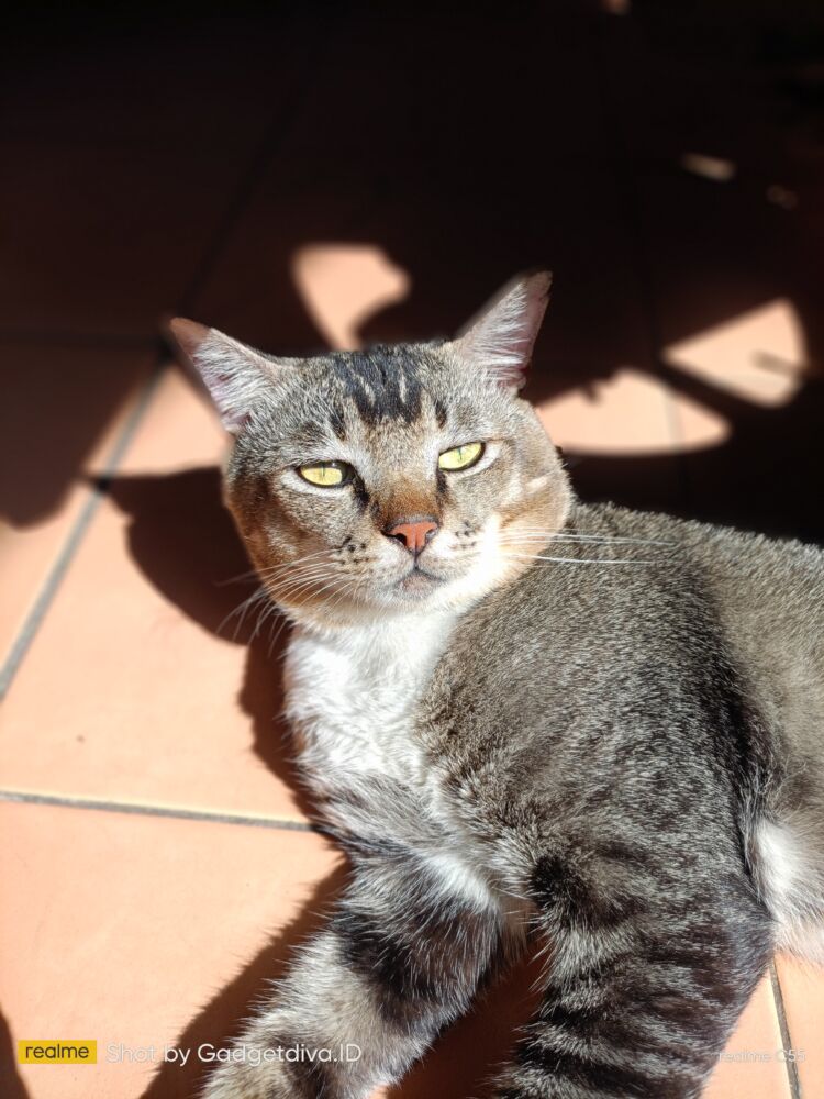 Img20230101161423