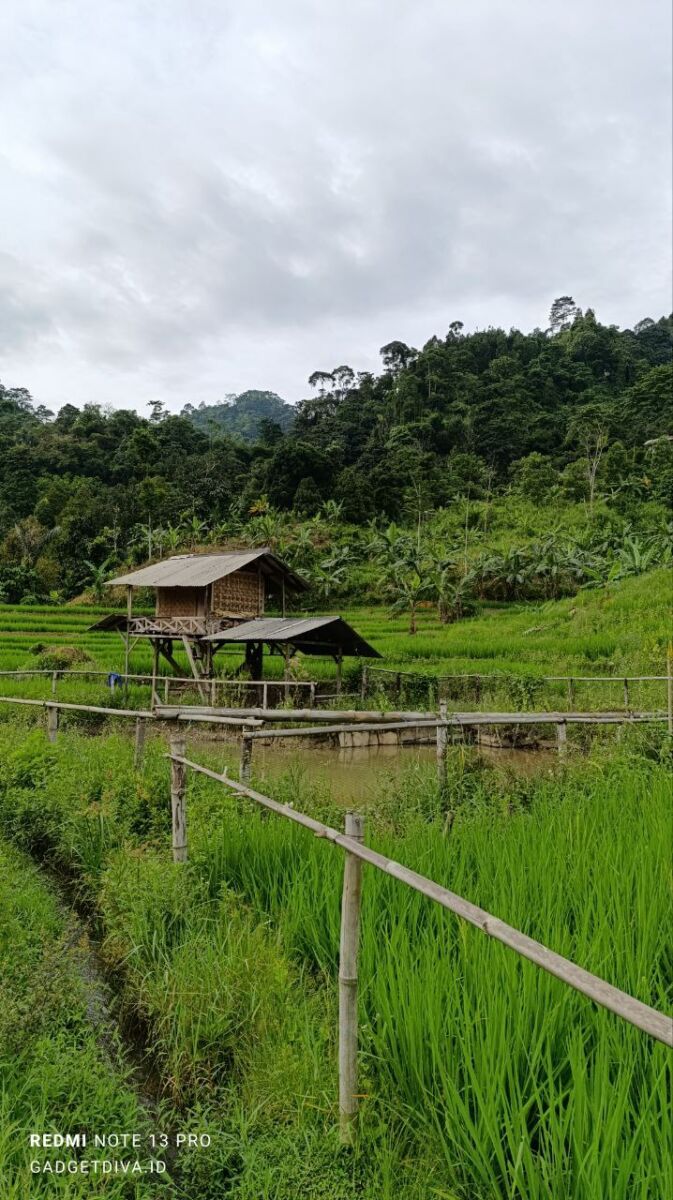 Redmi Note 13 Pro