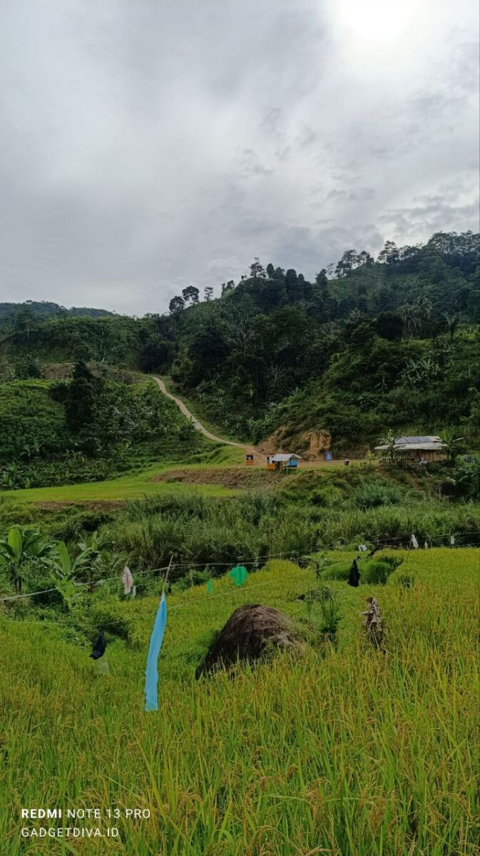 Redmi Note 13 Pro