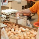 Titipku Beri Jaminan Pengiriman Telur Lewat Program #Pastiaman
