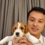 Bawa Anak Anjing