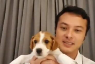 Bawa Anak Anjing