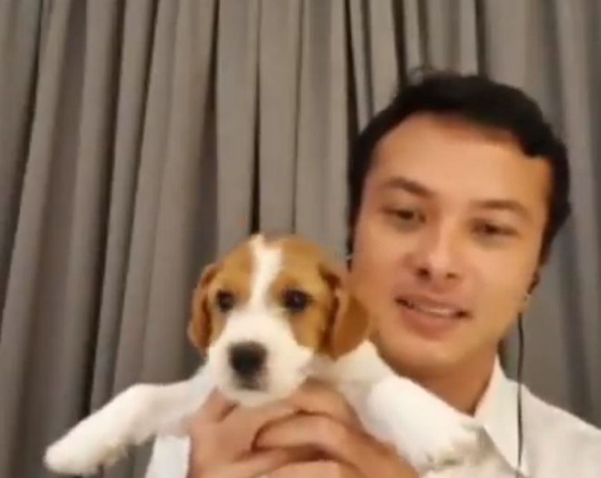 Bawa Anak Anjing