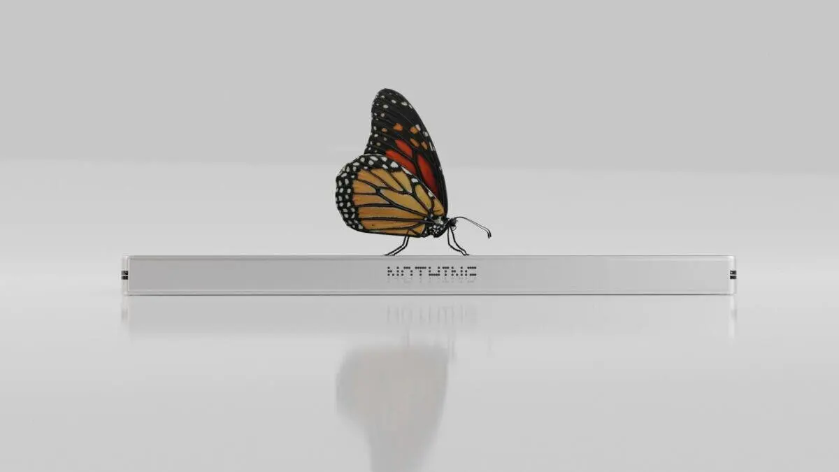 Nothing Fold (1)
