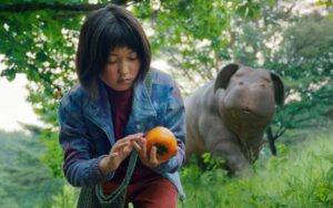Film Di Netflix