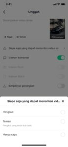 Pengaturan Untuk Menentukan Siapa Yang Dapat Menonton Video