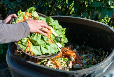 Ide Brilian Mahasiswi Indonesia Hadapi Sampah Makanan