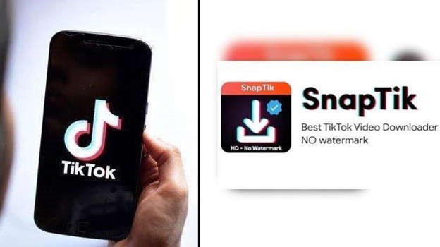 Cara Pakai Snaptik Untuk Download Video Tiktok Yang Kalian Inginkan!