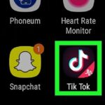 Anak Main Tik Tok? Awas Jadi Incaran Paedofil