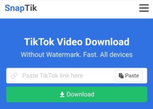 Tiktok Video Download