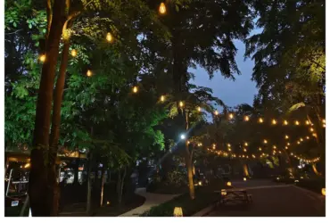 Hasil Foto Pakai Kamera Zeiss Vivo V40