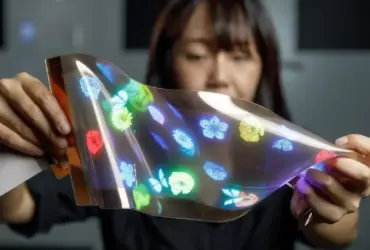 Lg Stretchable Display