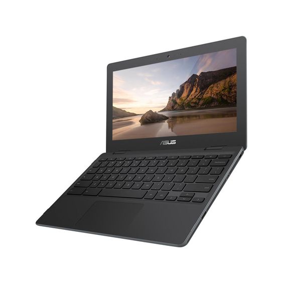Selain Chromebook C214