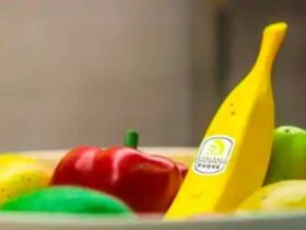 Banana Phone Bukan Smartphone Tapi Bisa Nelepon