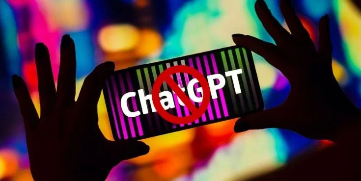 Data Pengguna Chatgpt