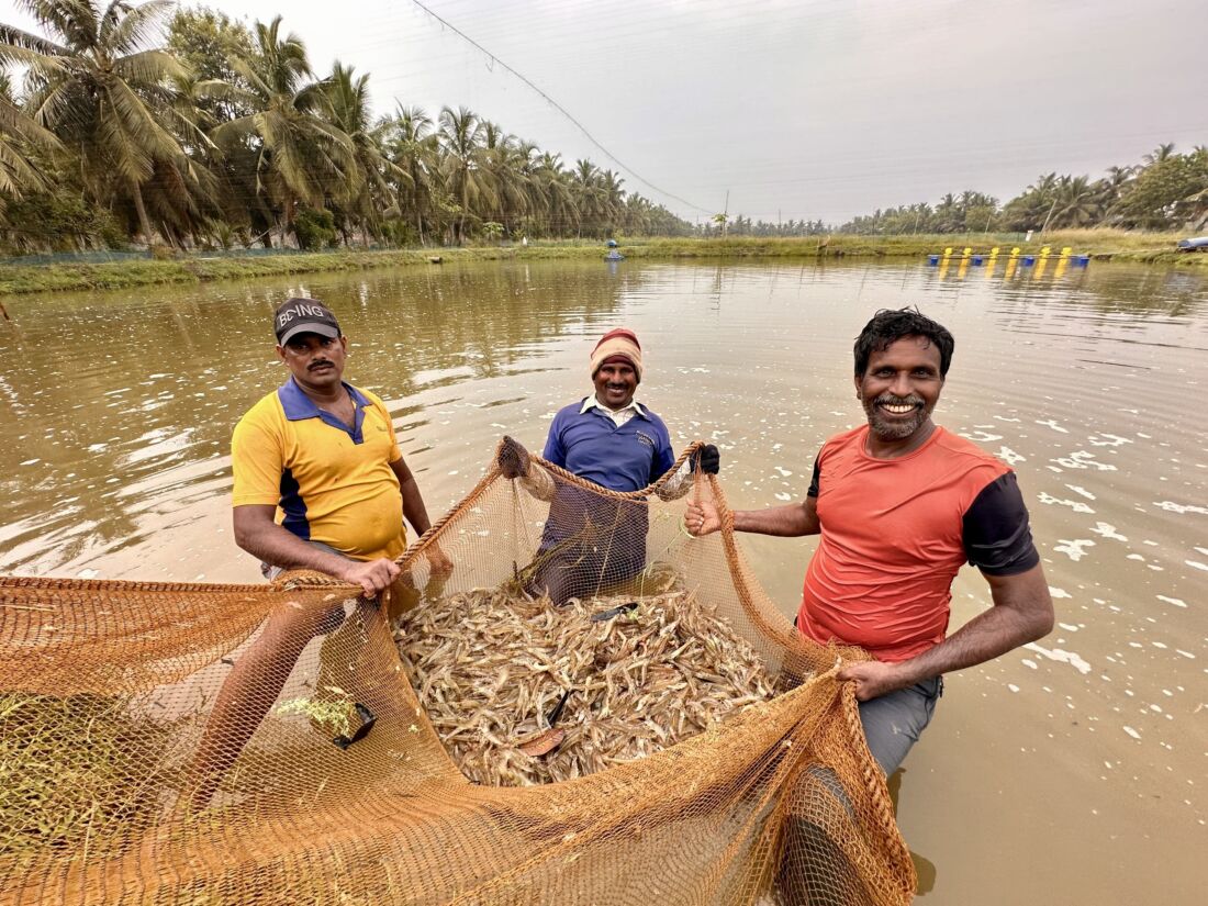 Efishery