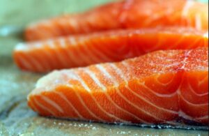 Ikan Salmon