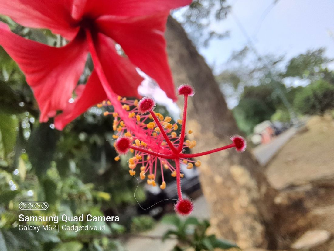 Realme 9 Pro Sunrise Blue