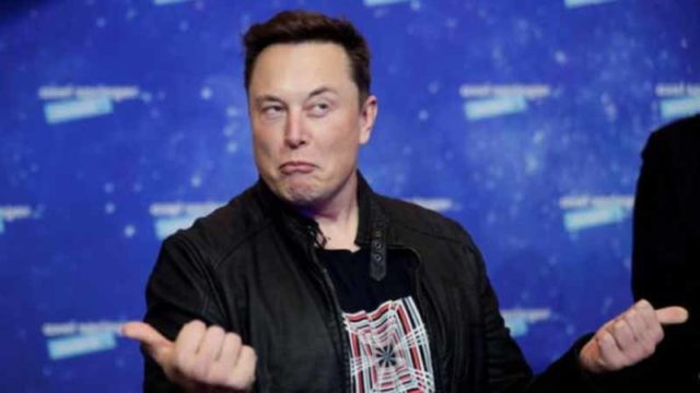 53 Persen Follower Elon Musk Di Twitter Ternyata Akun Bodong
