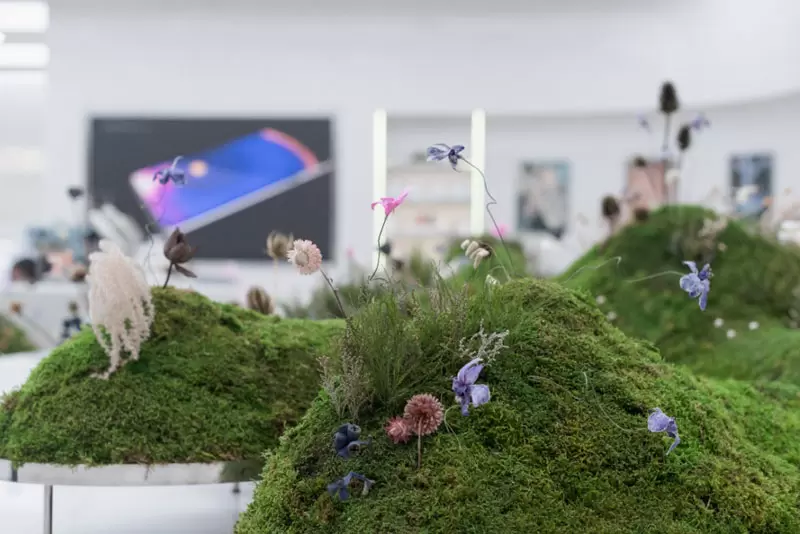 Oppo Gallery
