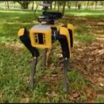 Robot Patroli 'Robodog'