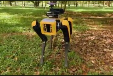 Robot Patroli 'Robodog'