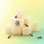 Tips Menggunakan Threads Dengan Aman Dan Nyaman