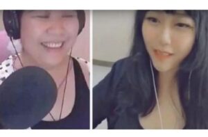 Vloggermanipulasiwajah