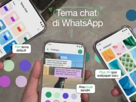 Fitur Tema Chat Whatsapp