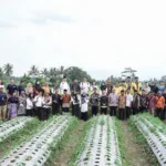 Goto Impact Foundation (Gif), Organisasi Sosial Bentukan Grup Goto, Memperkenalkan Program Pertanian Regeneratif Bernama Magelang Setories.