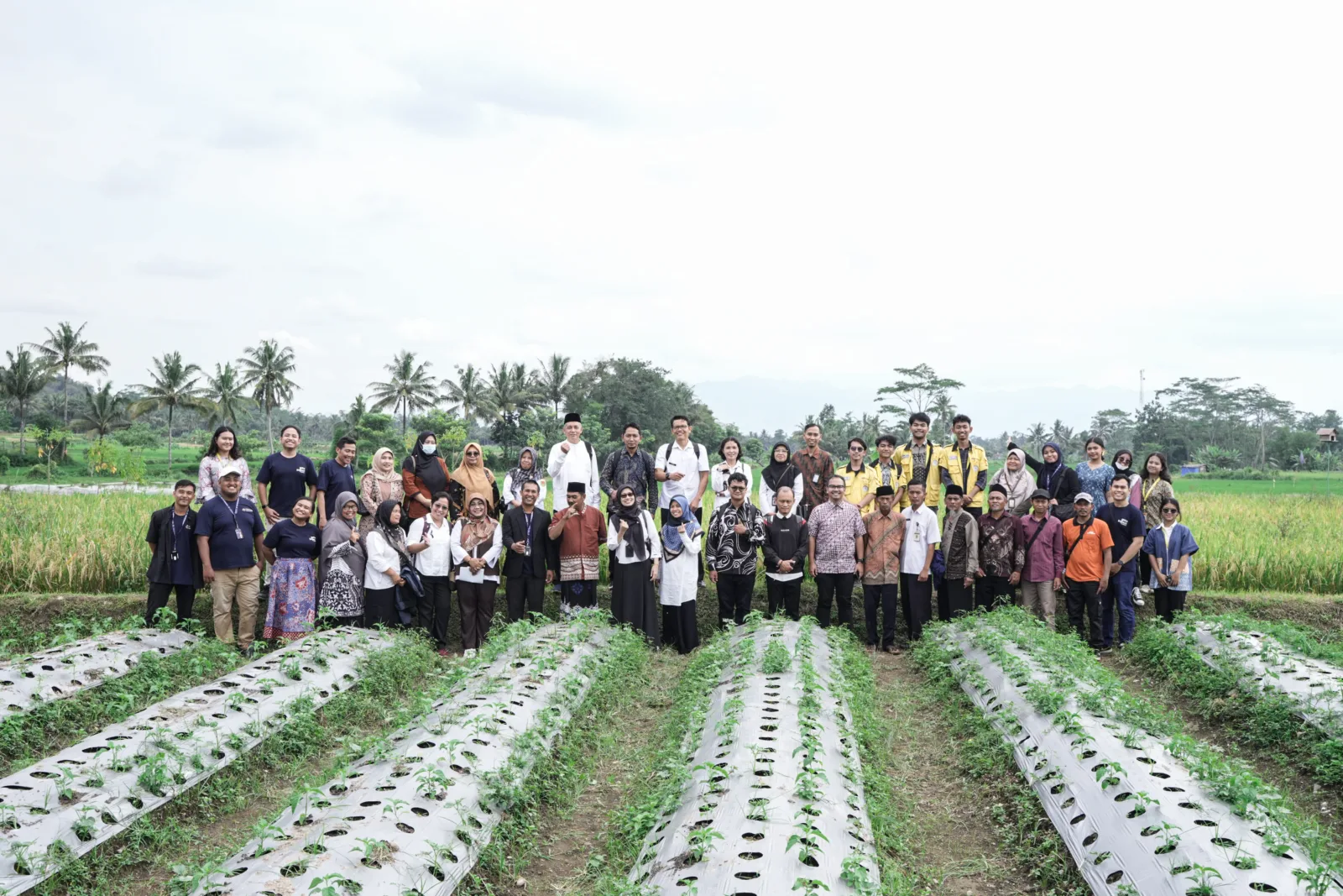 Goto Impact Foundation (Gif), Organisasi Sosial Bentukan Grup Goto, Memperkenalkan Program Pertanian Regeneratif Bernama Magelang Setories.